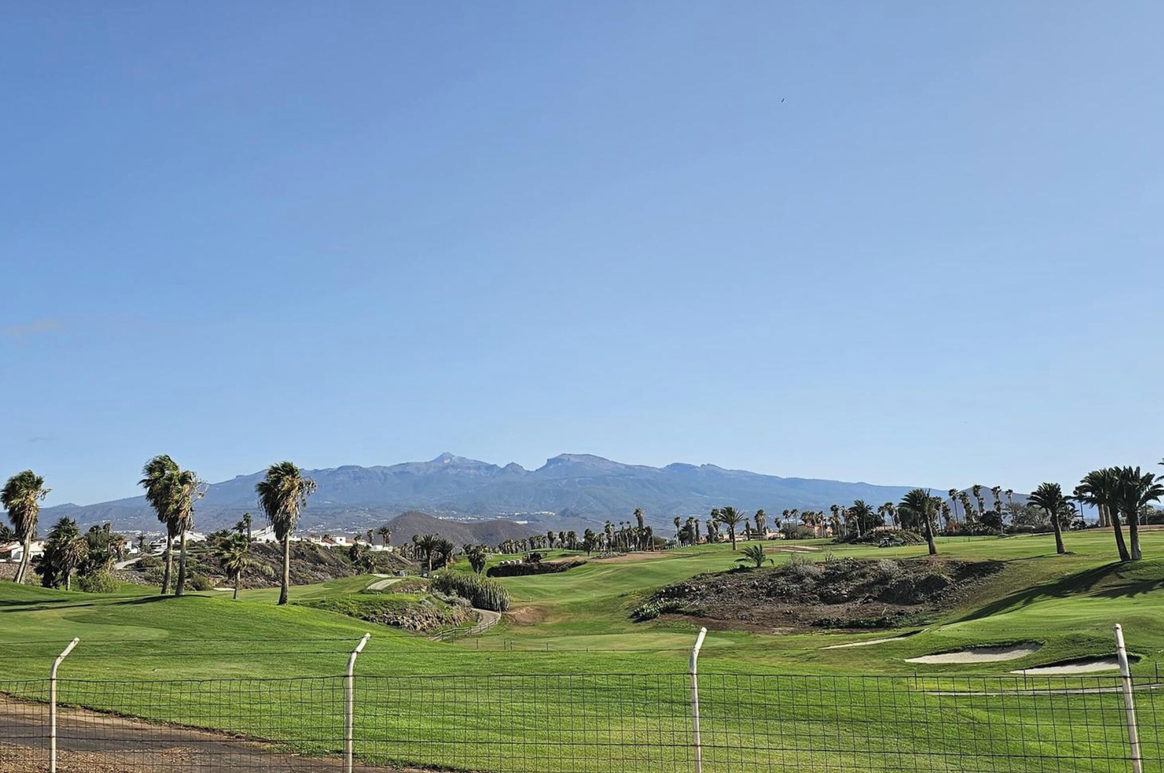 A golf course with a clear view of mountains in the background, surrounded by palm trees and a fence.