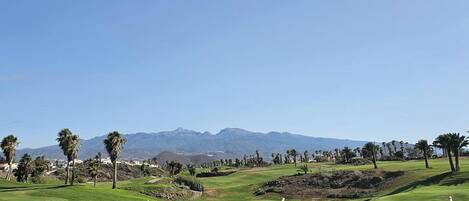 A golf course with a clear view of mountains in the background, surrounded by palm trees and a fence.