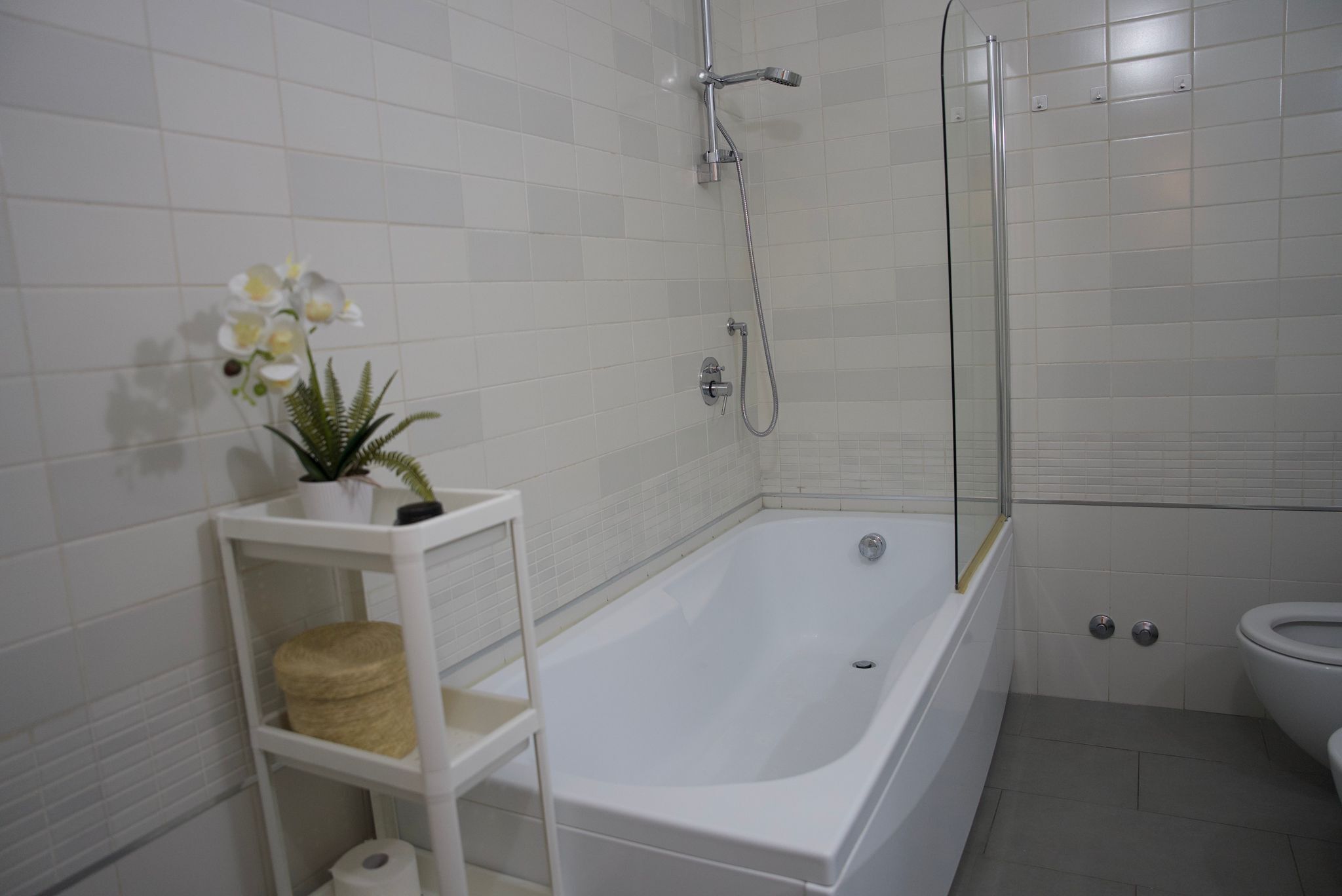 Secador de pelo, bidet, toallas, jabón