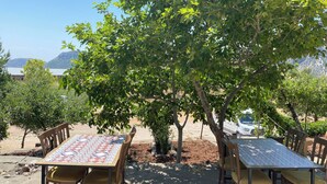 Un área de comedor al aire libre con mesas y sillas bajo un árbol, con vistas a un paisaje pintoresco.