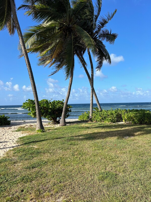 Sun loungers, beach towels