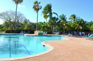 A swimming pool with lounge chairs and palm trees.