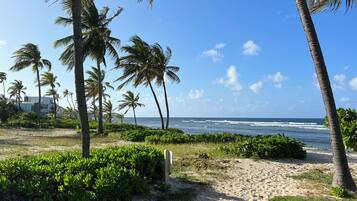 Camastros y toallas de playa