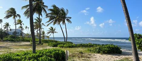 Sun loungers, beach towels