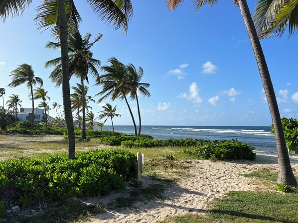 Sun loungers, beach towels - New Booking Discount! Gorgeous 2 bedroom, 2 bath Pelican Cove condo. (St.Croix)