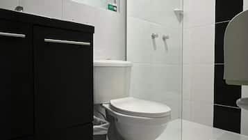 Ducha, toallas, jabón, papel higiénico