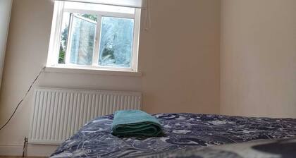 Spacious lovely double room centred in the heart of London.