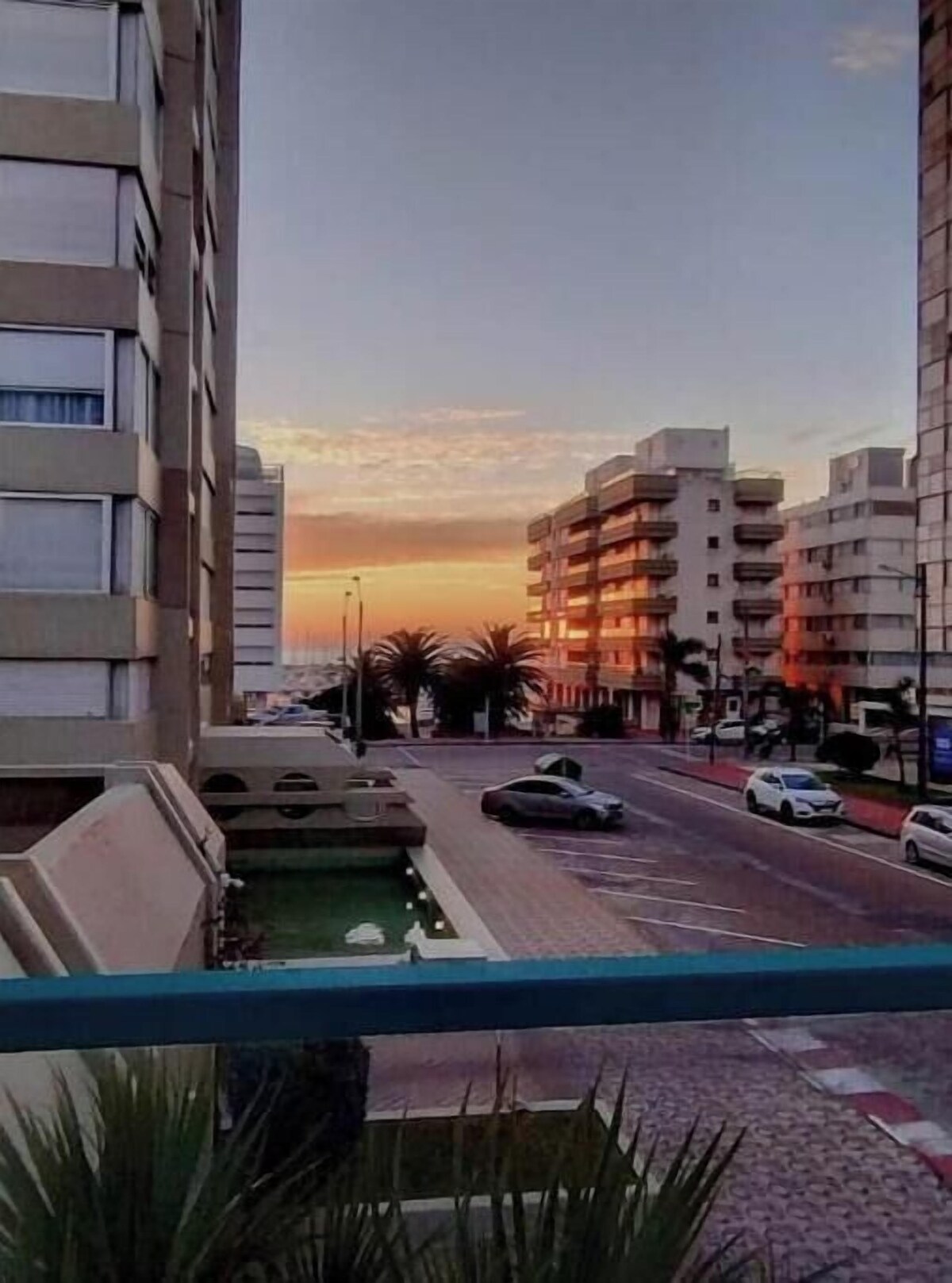 Imagen de perfil del propietario o de la propietaria