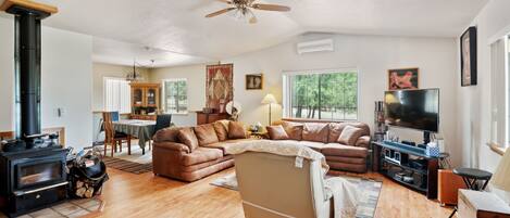 TV, fireplace, books, stereo