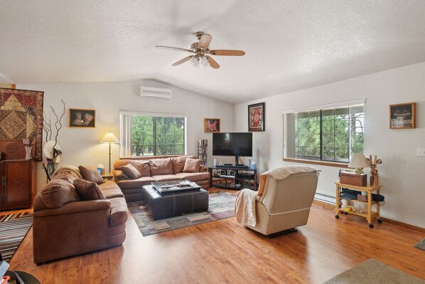TV, fireplace, books, stereo
