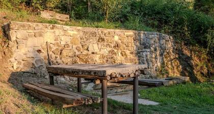 Launiur - Spinoso PZ