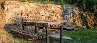 Launiur - Spinoso PZ