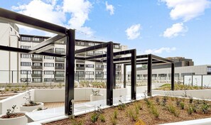 A rooftop garden with planters and a metal framework structure.