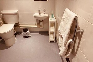 Hair dryer, towels, soap, toilet paper