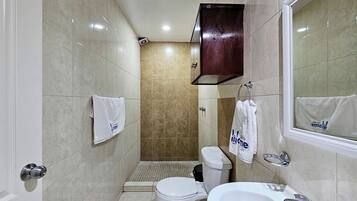 Ducha, secador de pelo, toallas y champú