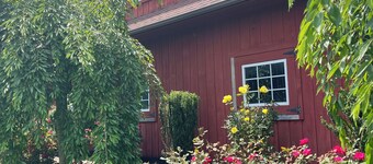 Forget & Re-set at this Farmette in the heart of southern Chester county!!!