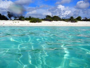 Ein Strand mit klarem türkisblauem Wasser und weißem Sand, umgeben von viel Grün und Bäumen.