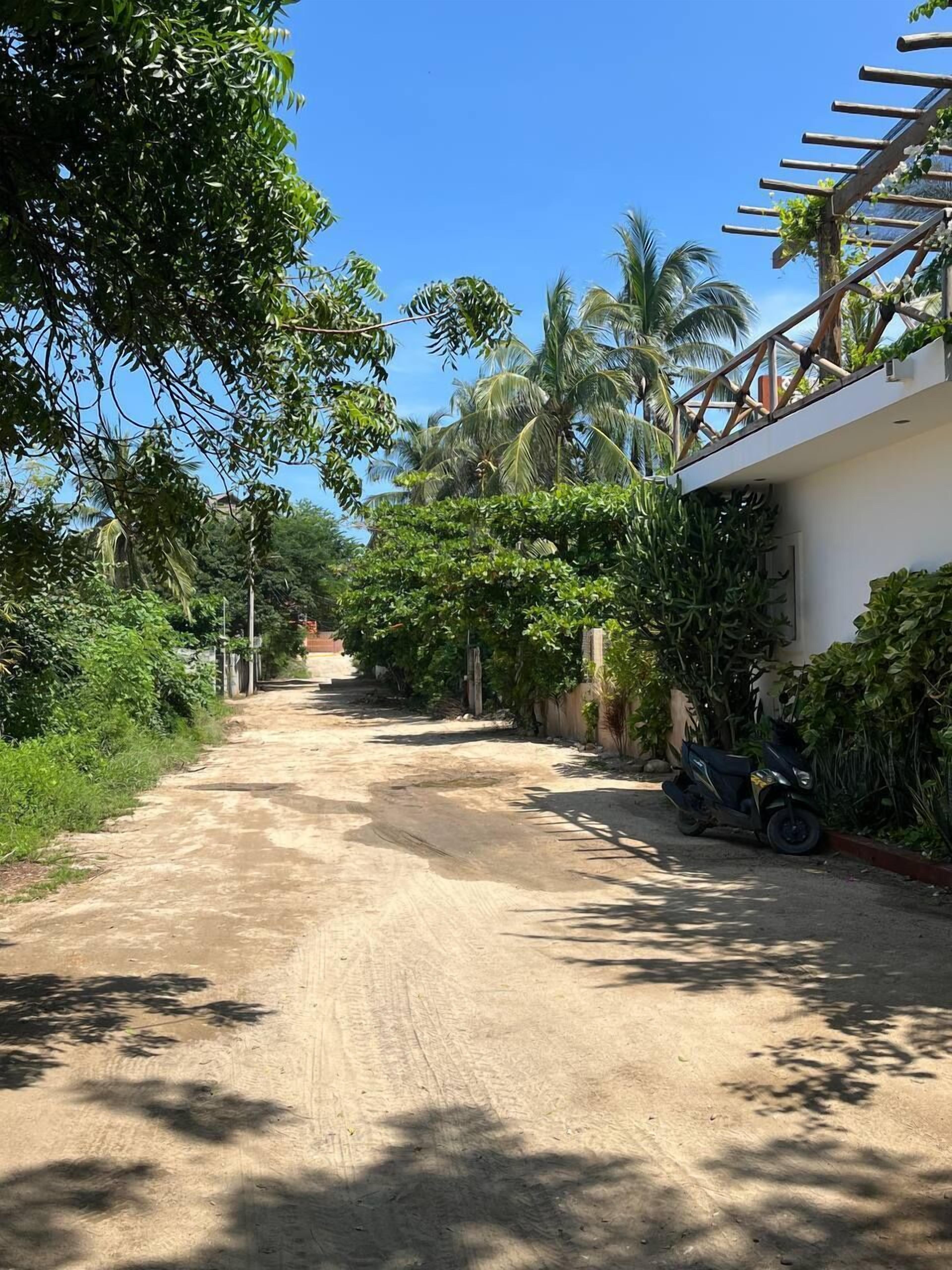 A dirt road flanked by lush greenery and a building with a wooden pergola.
