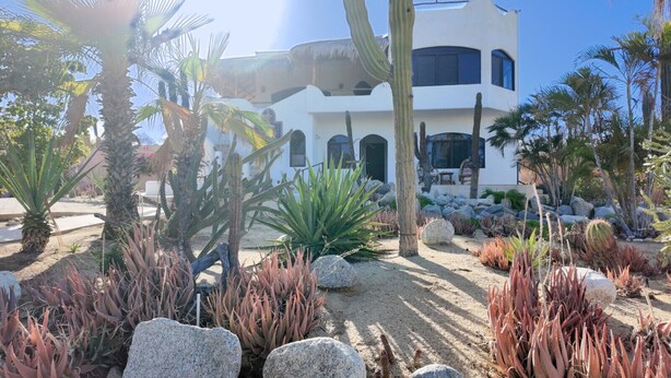 A modern building with a white facade, surrounded by a desert garden with cacti and palm trees. - 10 Minute Walk to Pickleball and the Sea of Cortez (Los Barriles)
