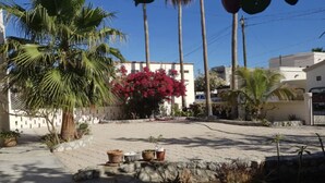 A courtyard with palm trees, a building with red flowers, and a paved area with planters. - Cozy Home One Off the Beach (Spa Buena Vista)