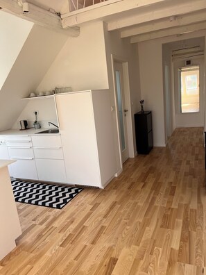 Private kitchen - Spacious 3-bedroom with AC and WiFi in Ljubljana (Ljubljana)