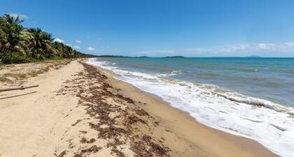 Welcome to Tortuga Tranquila! Your spacious 5-bedroom Beach Villa awaits!