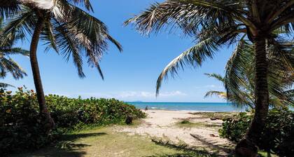 Ocean View Villa • Pool • Walk to Beach • Sleeps 12