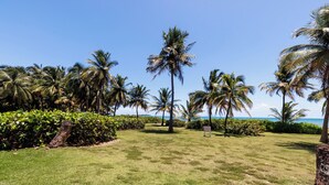 A well-maintained grassy area with palm trees and a clear view of the ocean.
