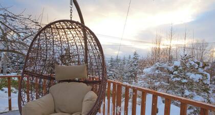 LAKE TOYA PREMIUM CABIN