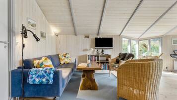 Een open haard en een dvd-speler