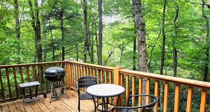 3-bedroom, King Beds, Dog-friendly, Skiing, Blowing Rock, Tweetsie, Boone, ASU