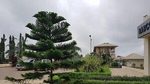 Un espace aménagé avec un arbre remarquable, un bâtiment portant une enseigne indiquant « BABCO », et un parking avec des voitures.
