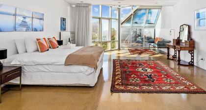 Swainson on Waymouth