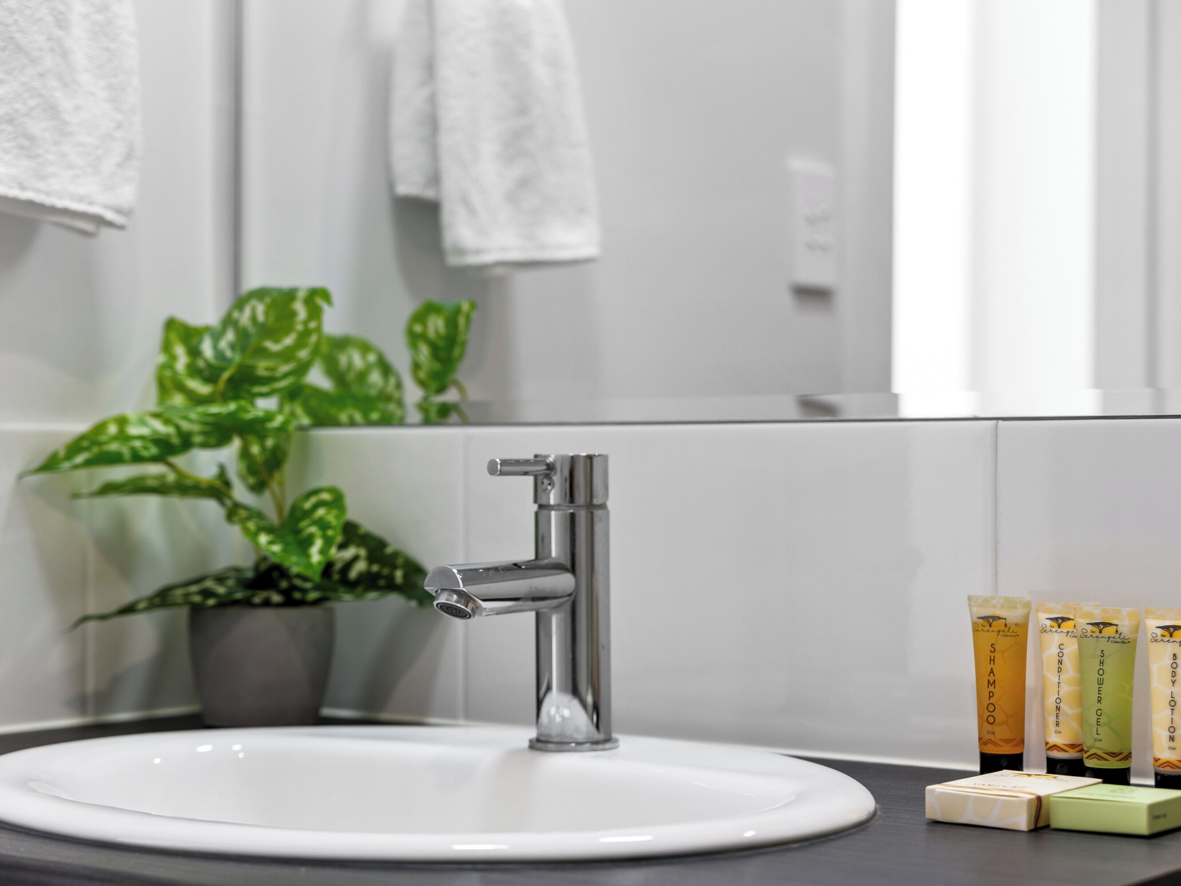 Et badeværelse med en moderne vask, en potteplante og en række toiletartikler.