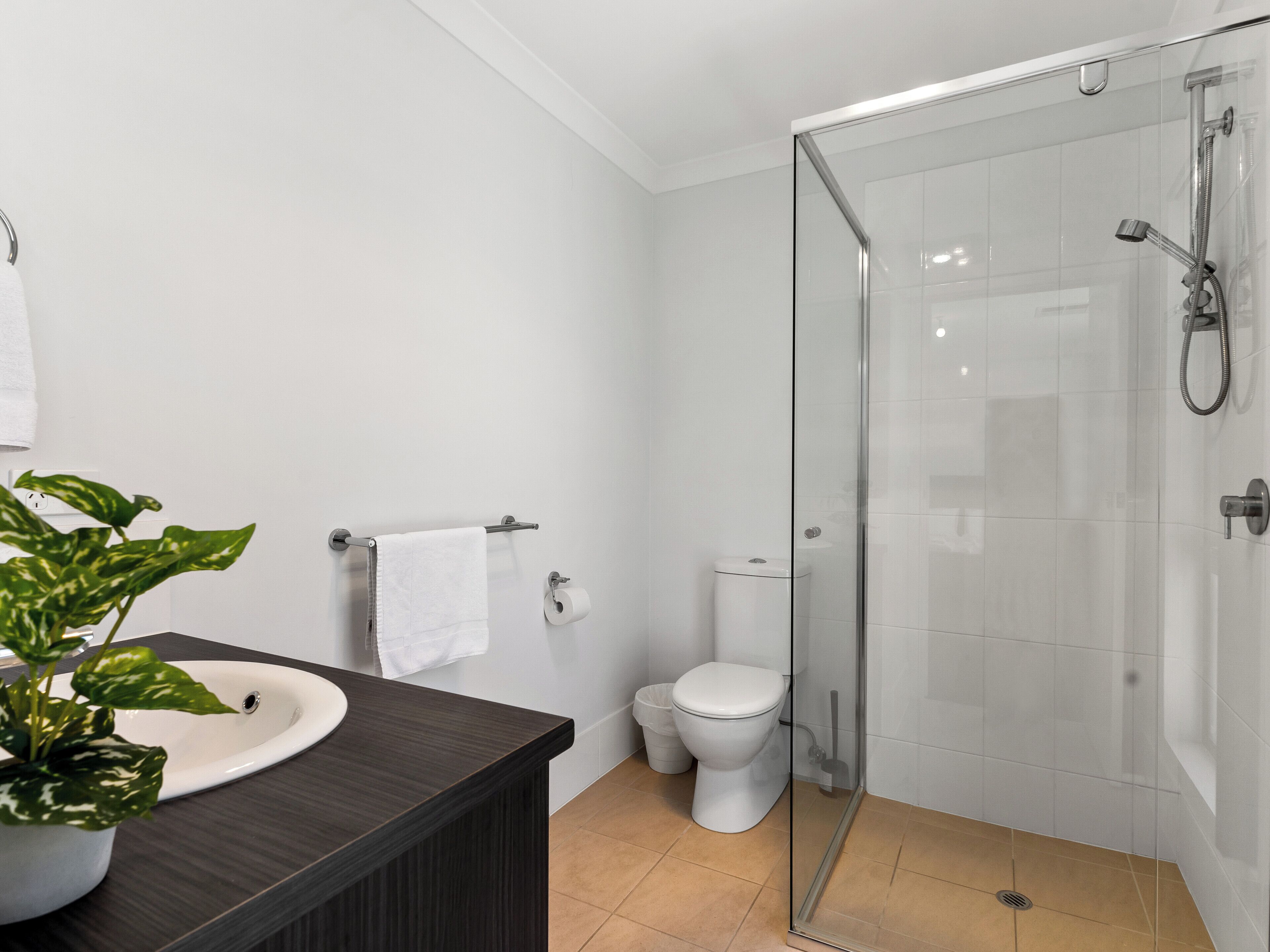 A modern bathroom with a glass-enclosed shower, a white sink, and a potted plant.