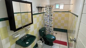 A bathroom with a green sink, a toilet, and a shower area. - Private room for 5 people. A/C, TV, Wi-Fi, minibar, kitchen and living. Downtown | Isla Mujeres  #2 (Isla Mujeres)