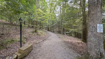 Ein Waldpfad mit Kiesweg, umgeben von Bäumen und einem Schild mit der Aufschrift 'KEINE VEHICLES BEYOND THIS POINT'.
