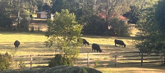 FARMHOUSE LIVING 🐄  2 BR 1 BA and a bonus room with 2 twin beds. Serenity Now!