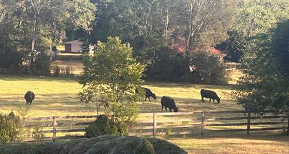 FARMHOUSE LIVING 🐄 2 BR 1 BA and a bonus room with 2 twin beds. Serenity Now!