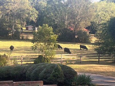 FARMHOUSE LIVING 🐄  2 BR 1 BA and a bonus room with 2 twin beds. Serenity Now!