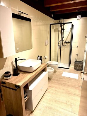Shower, hair dryer, bidet, towels