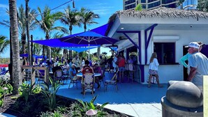 An outdoor seating area with tables and chairs, surrounded by palm trees and a blue umbrella.