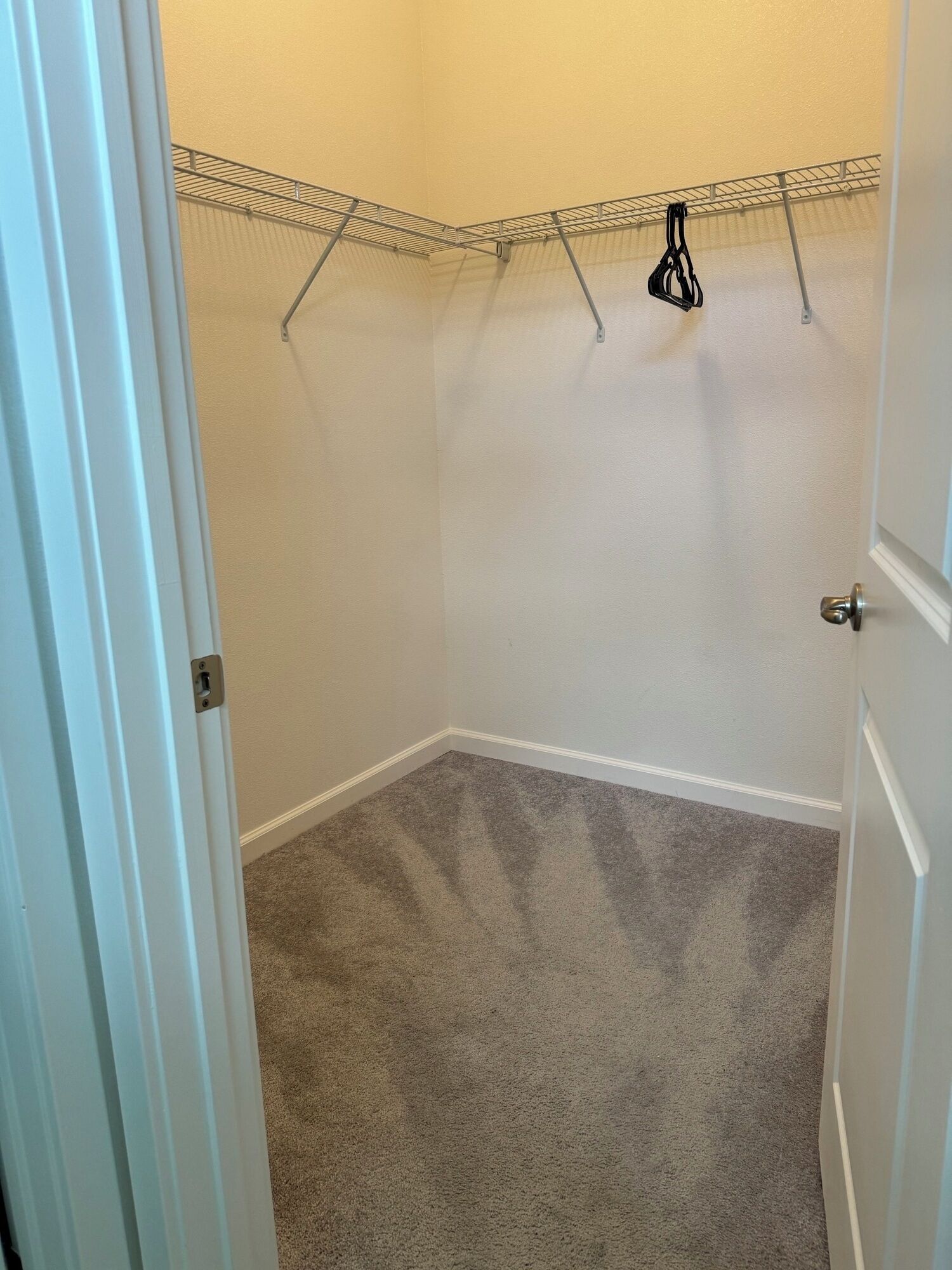 A small, carpeted closet with a metal drying rack on the ceiling and a door with a silver handle.