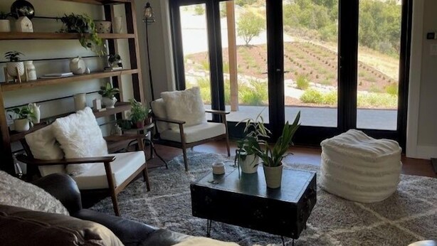 A living room with a sofa, chairs, a coffee table, and a bookshelf with plants.