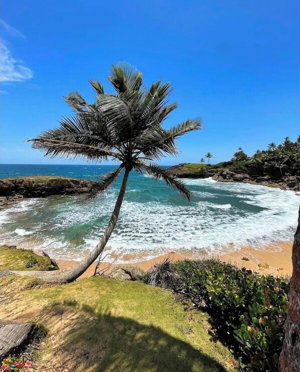 Beach - Cozy 2-bedroom beach apartment in wonderful Cerro Gordo with AC, WiFi (Vega Alta)