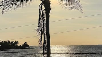 Playa privada y bar en la playa