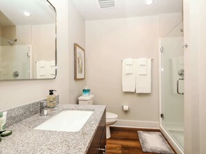 Shower, hair dryer