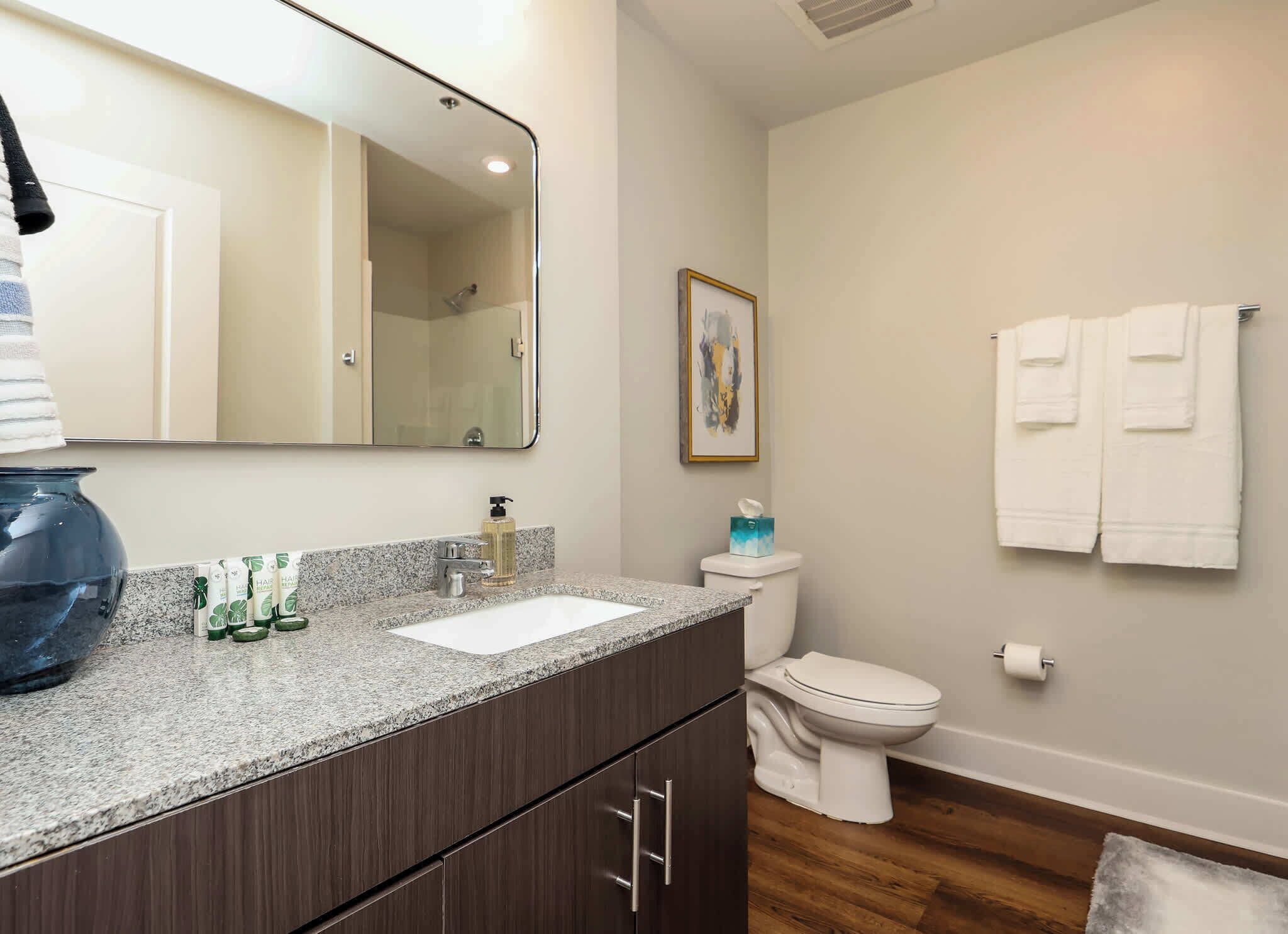 Ein Badezimmer mit einer Granit-Arbeitsplatte, einem weißen Waschbecken, einer dunkelholz-Waschkommode, einer Toilette und einem gerahmten Kunstwerk an der Wand.