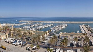 A marina with numerous boats docked, a pier extending into the water, and palm trees lining the area.