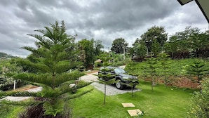 Un jardí exuberant amb un cotxe aparcat sobre un camí de grava, envoltat de diferents plantes i arbres verdosos.